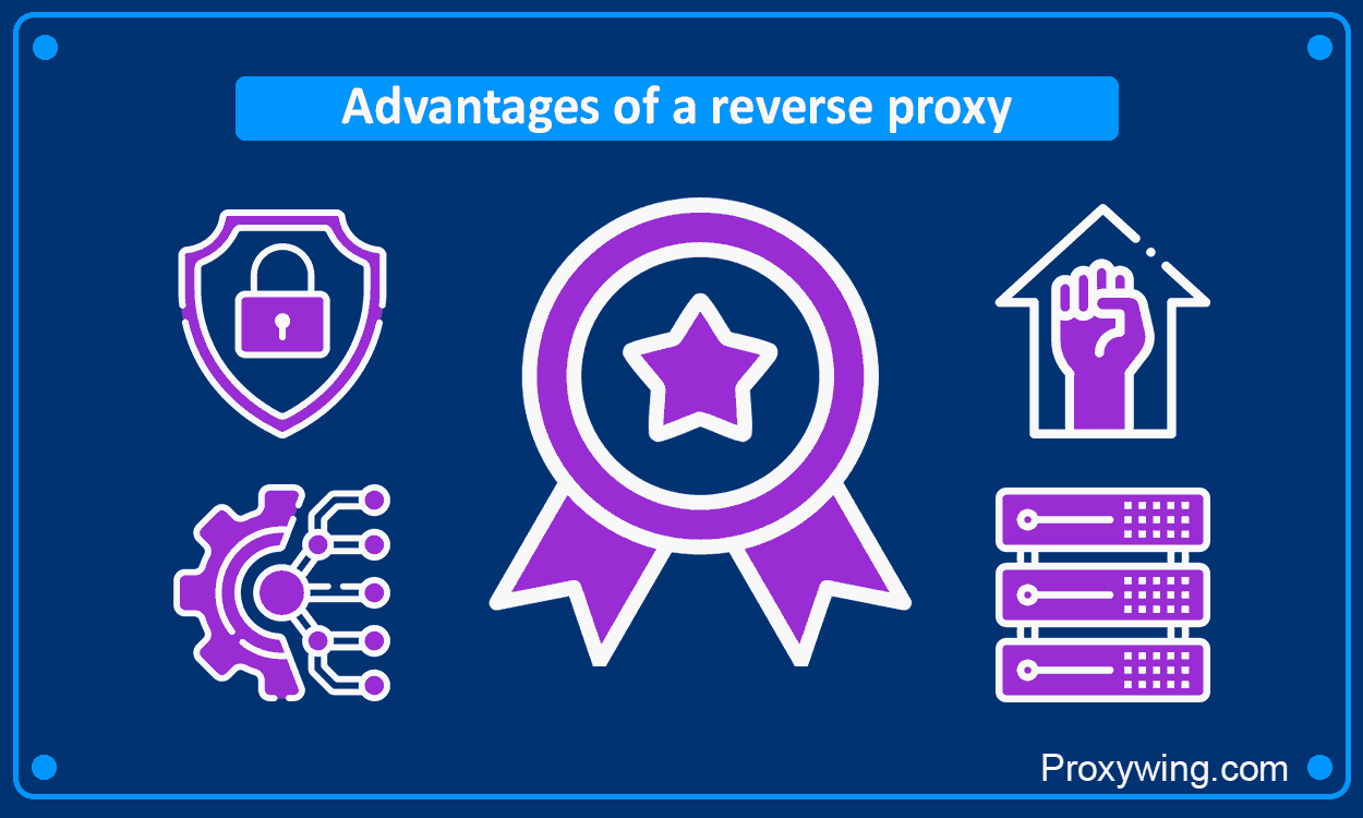 Reverse Proxy Guide: Benefits, Use Cases & Setup