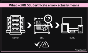 Fix cURL SSL Certificate Errors: Disable Verification Safely