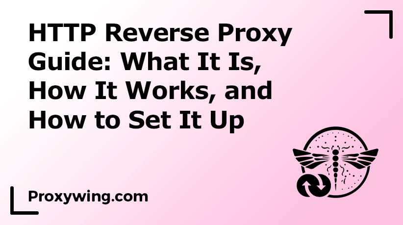 HTTP reverse proxy