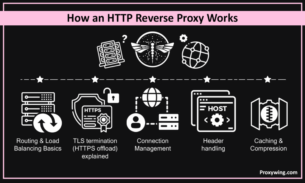How an HTTP reverse proxy works