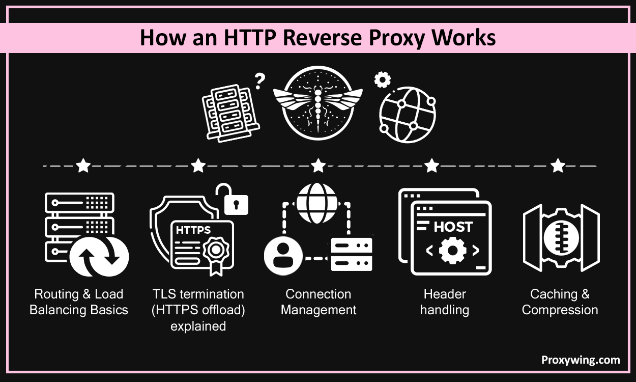 HTTP Reverse Proxy Explained: Setup and Use Cases