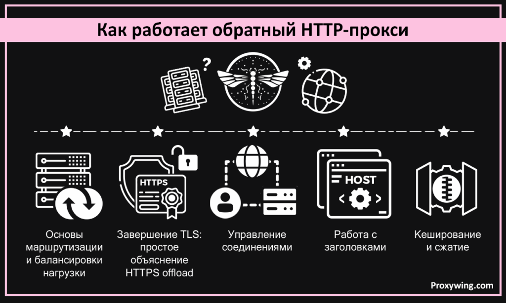 Как работает обратный HTTP-прокси