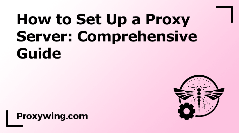 Set up a proxy server guide