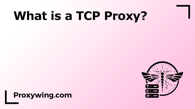 TCP Proxy
