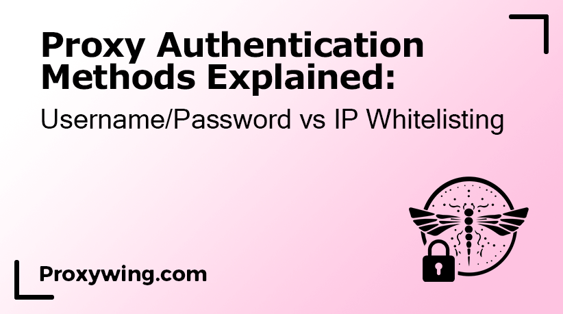 Comparison of proxy authentication methods using credentials and IP whitelisting