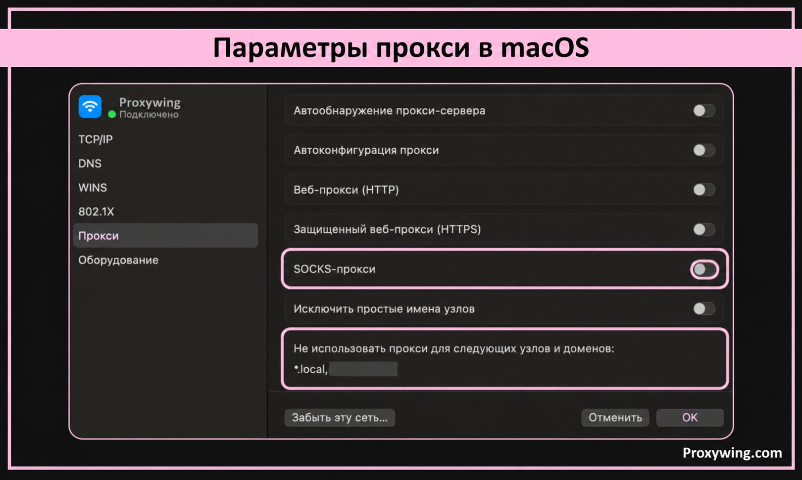 HTTP/HTTPS, SOCKS, PAC и исключения в параметрах сети macOS